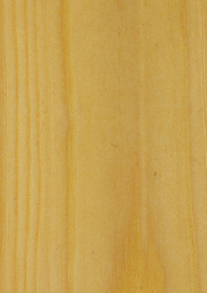грецкий орех (оттенок 1)